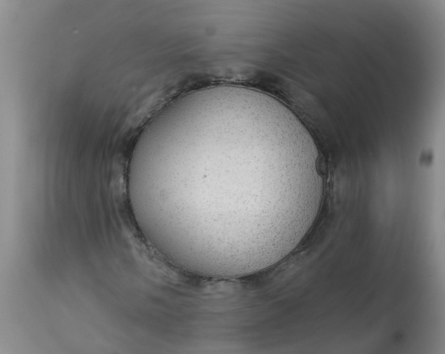 X0000113081058200909110958