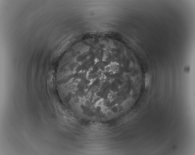 X0000113081059200909110958