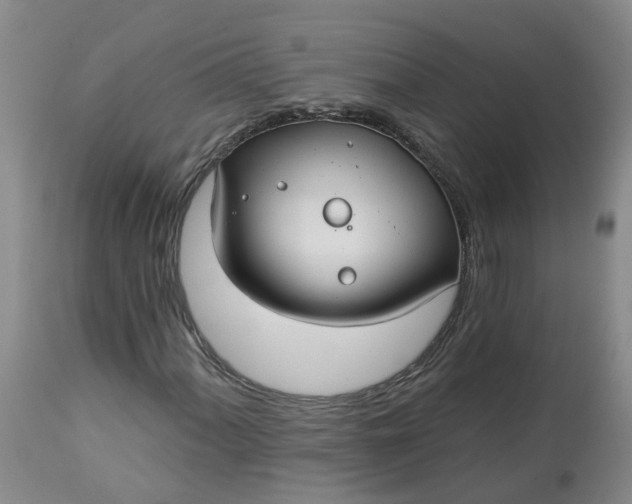 X0000113081060200909110958