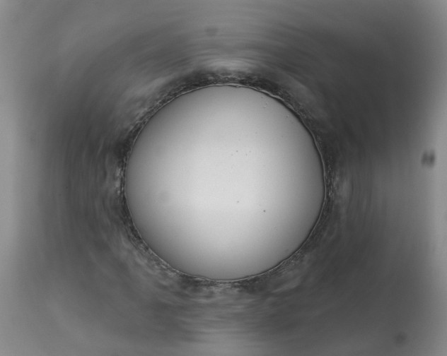 X0000113081061200909110958