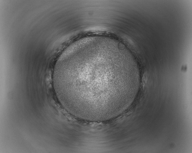 X0000113081062200909110958