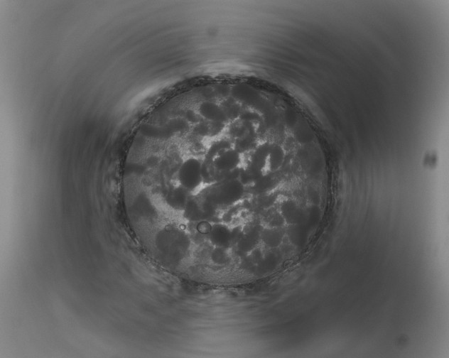 X0000113081063200909110958