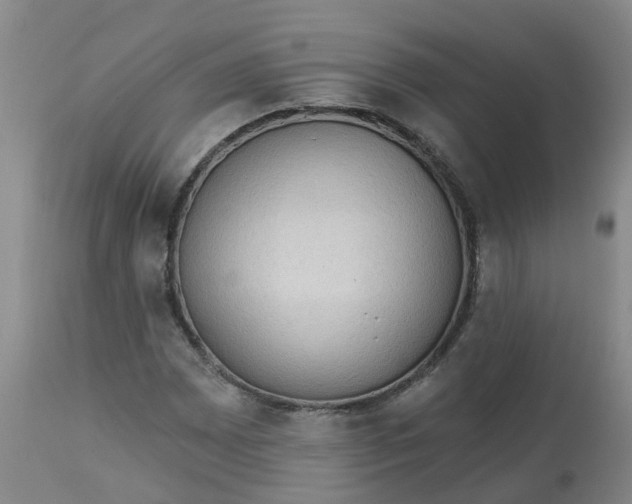 X0000113081065200909110958