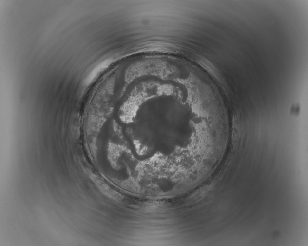 X0000113081067200909110958