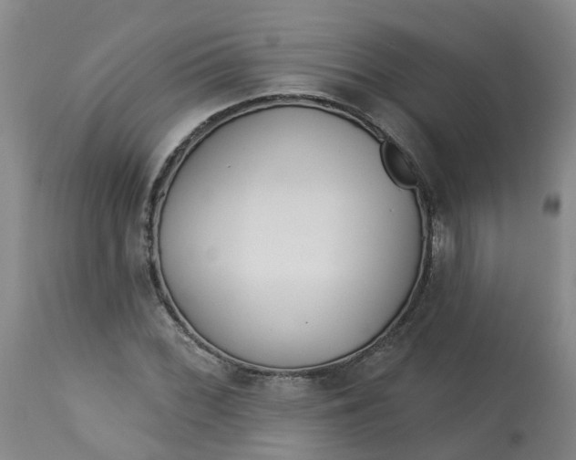 X0000113081068200909110958