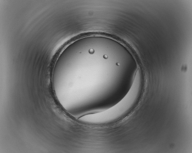 X0000113081069200909110958