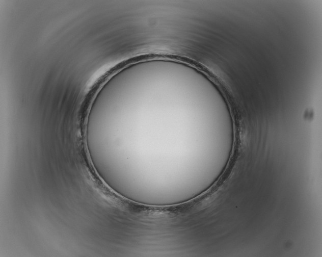 X0000113081070200909110958