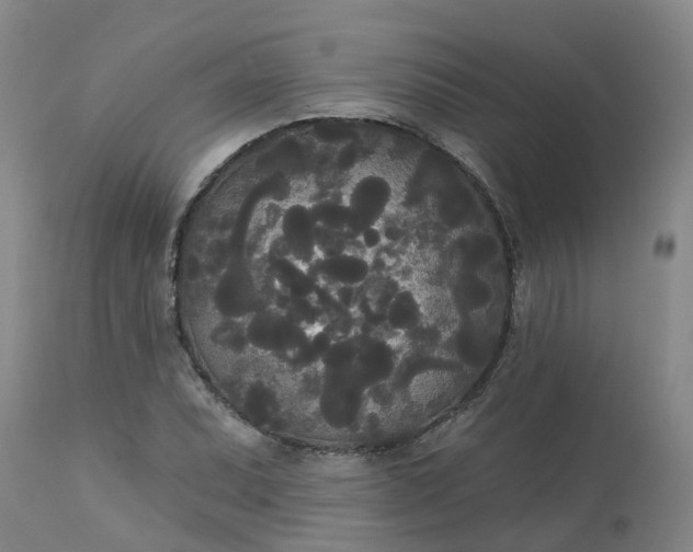 X0000113081071200909110958