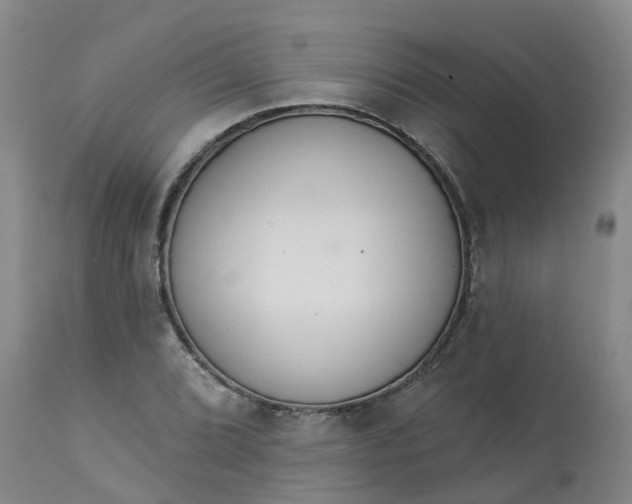 X0000113081072200909110958