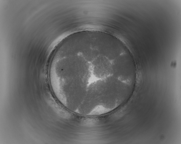 X0000113081074200909110958