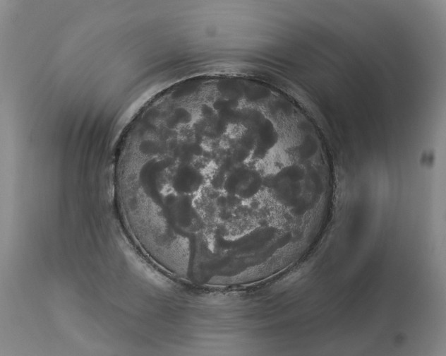 X0000113081075200909110958