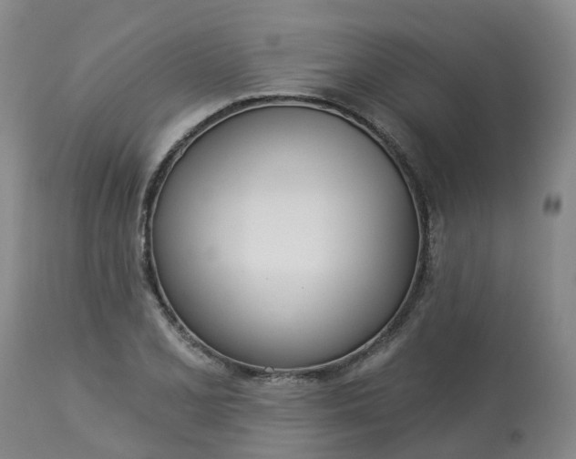 X0000113081077200909110958