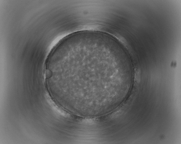 X0000113081078200909110958