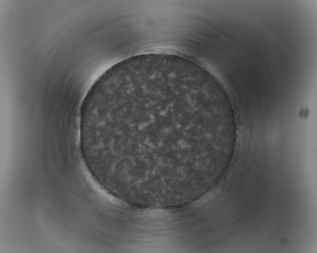 X0000113081079200909110958