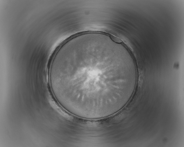 X0000113081080200909110958