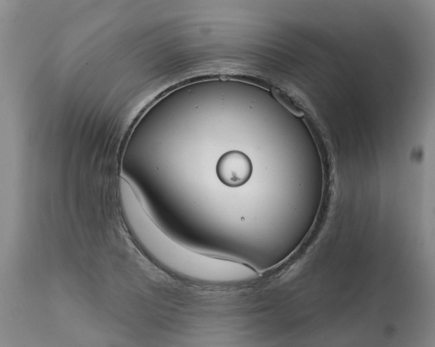 X0000113081081200909110958