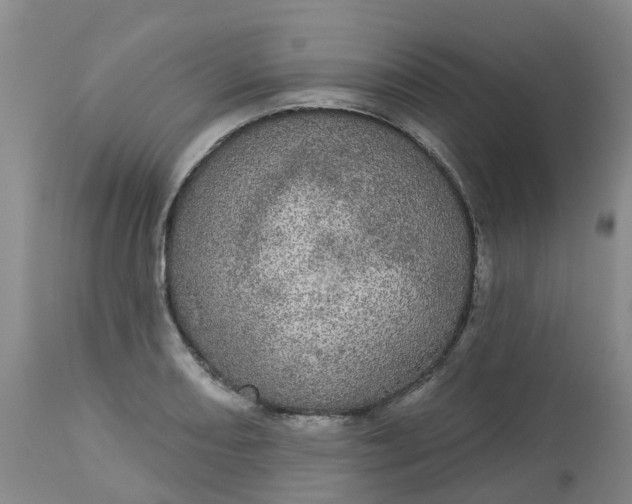 X0000113081082200909110958