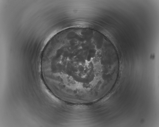 X0000113081083200909110958