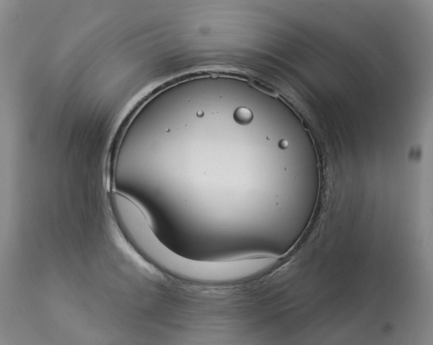 X0000113081084200909110958