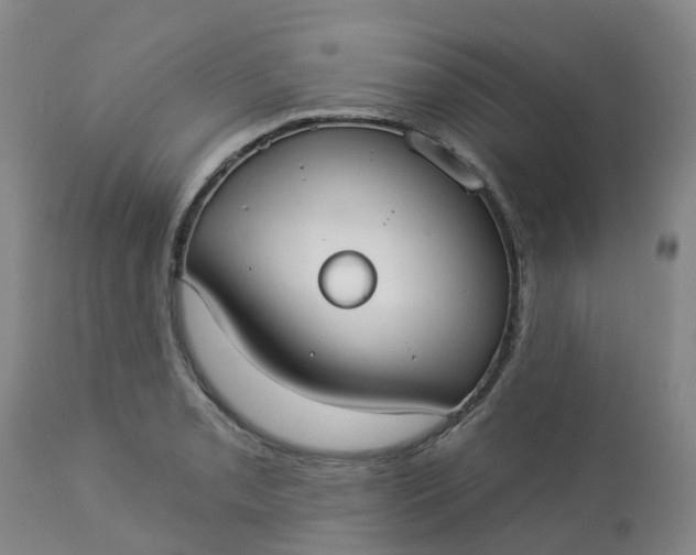 X0000113081085200909110958