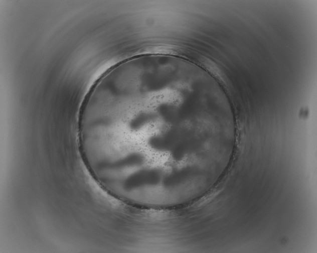 X0000113081087200909110958