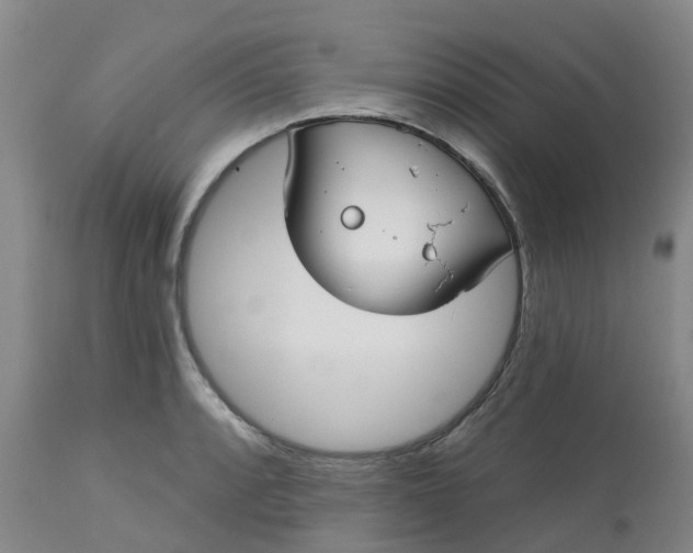 X0000113081088200909110958