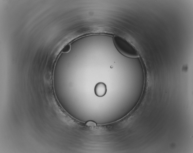 X0000113081089200909110958