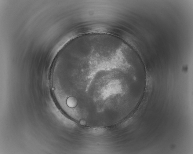 X0000113081090200909110958