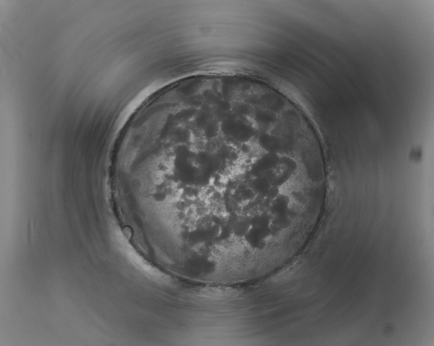 X0000113081091200909110958