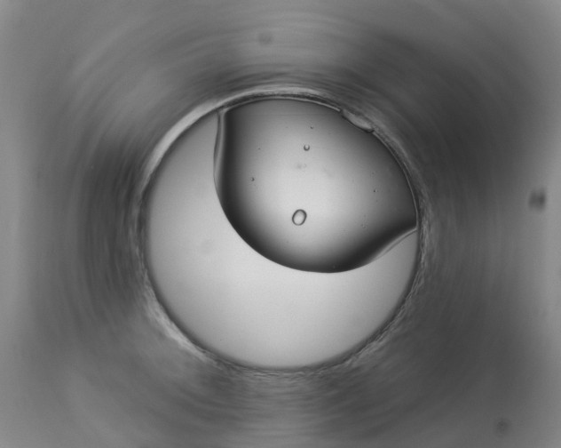 X0000113081092200909110958