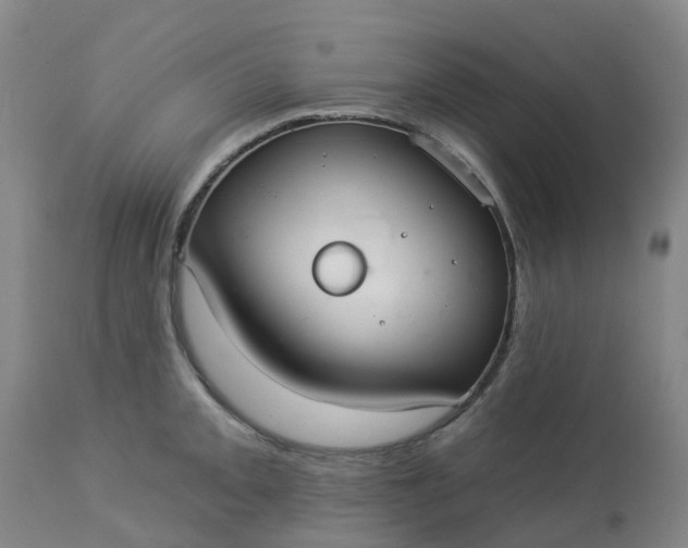 X0000113081093200909110958