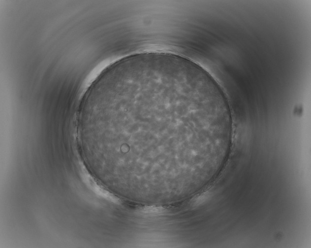 X0000113081094200909110957