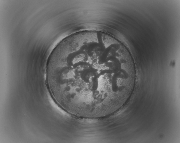 X0000113081095200909110957