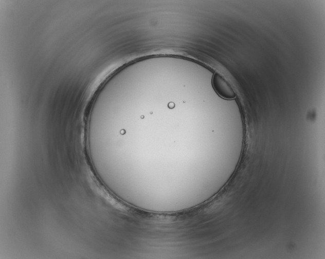 X0000113081096200909110957