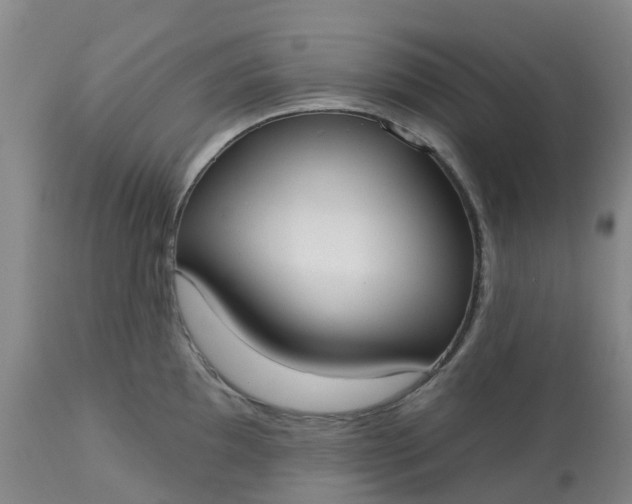 X0000113081097200909110957