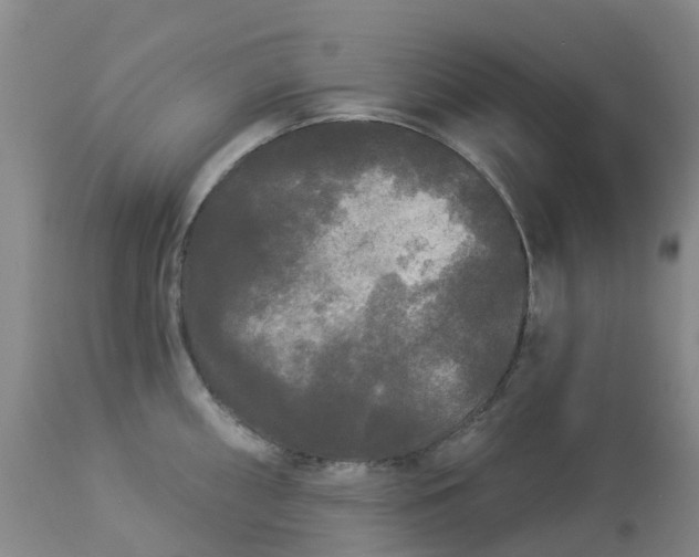 X0000113081098200909110957