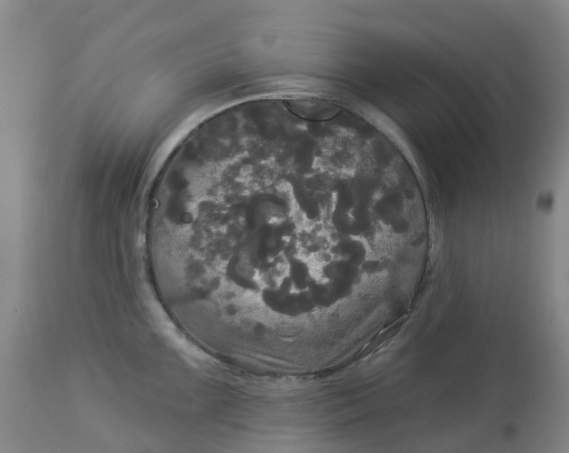 X0000113081099200909110957