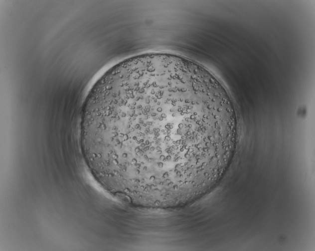 X0000113081100200909110957