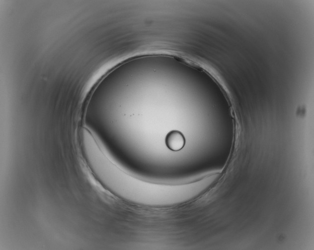 X0000113081101200909110957