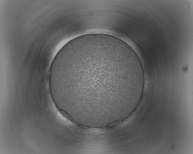 X0000113081102200909110957