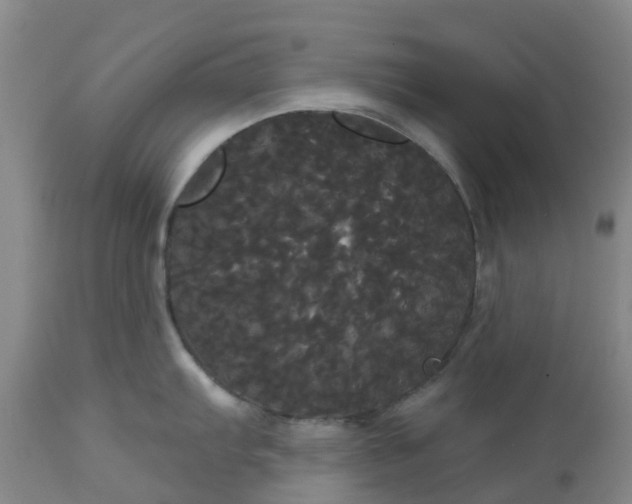 X0000113081103200909110957