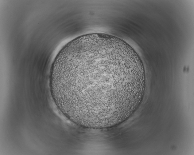 X0000113081104200909110957