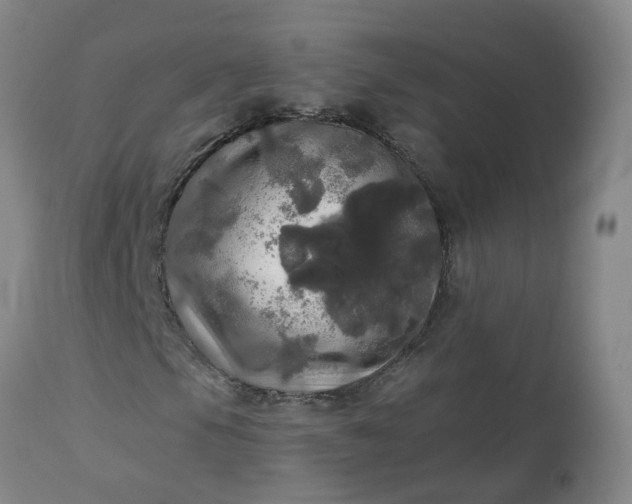 X0000113081105200909110957