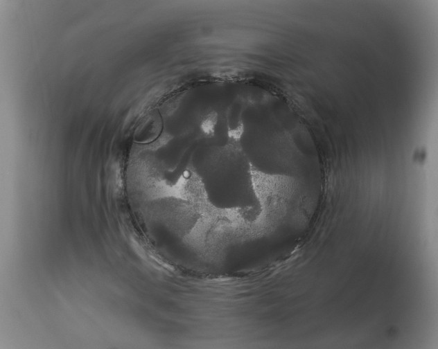 X0000113081106200909110957