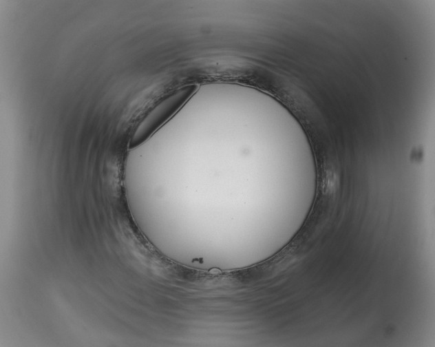 X0000113081108200909110957