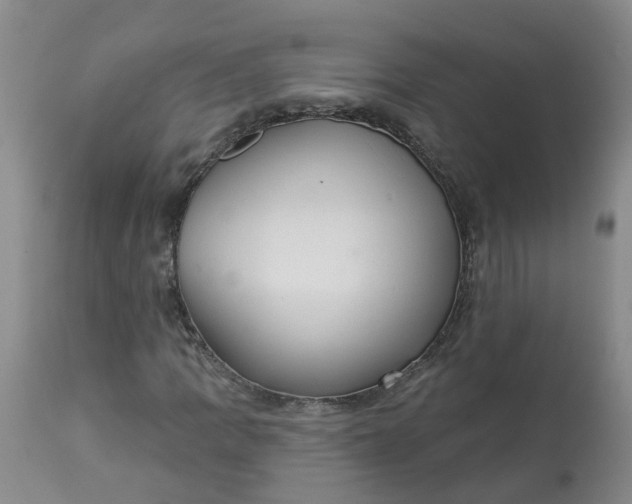 X0000113081109200909110957