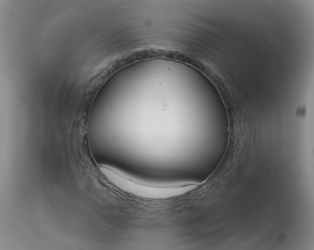 X0000113081110200909110957