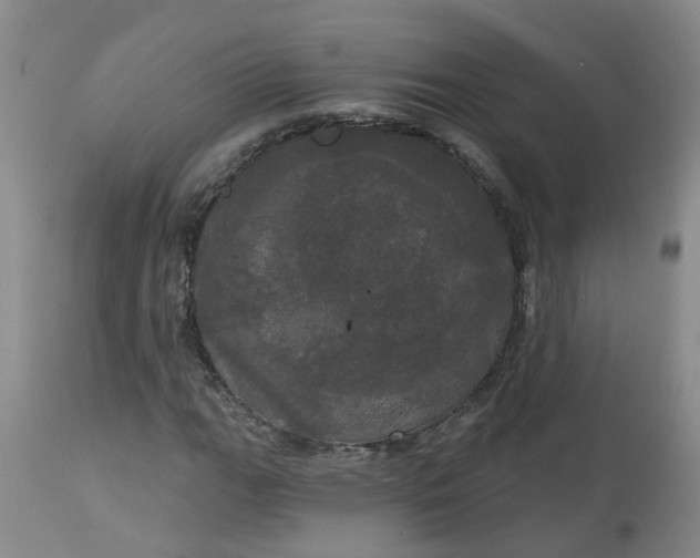 X0000113081111200909110957