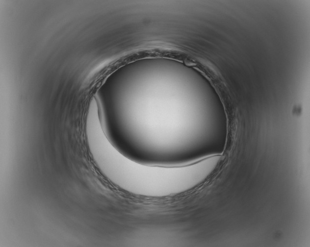 X0000113081112200909110957