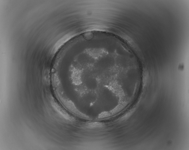 X0000113081113200909110957